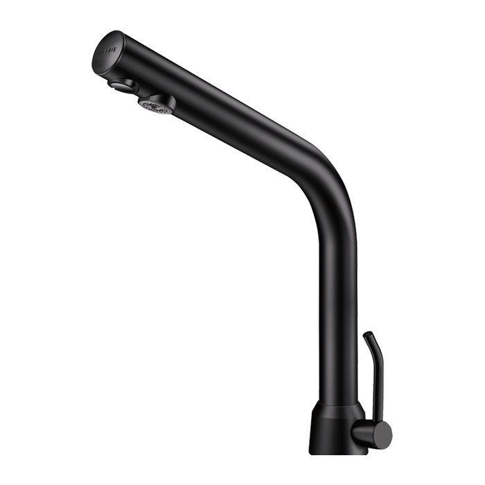 Mitigeur électronique sur plage DELABIE BLACK BINOPTIC MIX pour lavabo, M3/8″, alimentation secteur 230/12V avec transformateur, hauteur de bec 250 mm, noir mat