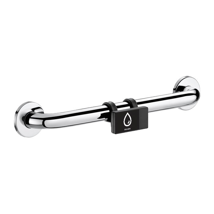 DELABIE WC flush button, mounts to grab bar