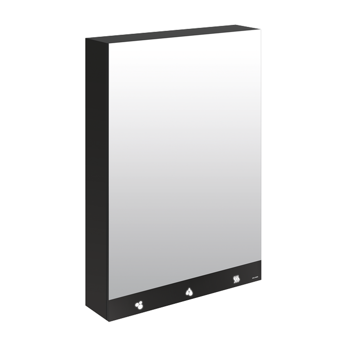 DELABIE 4-in-1 mirror cabinet, with electronic soap dispenser, electronic tap and paper towel dispenser, width 600mm