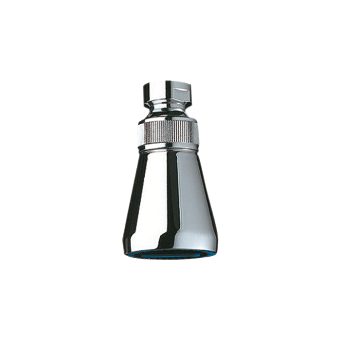 DELABIE GYM CONFORT suspended swivel shower head, F1/2