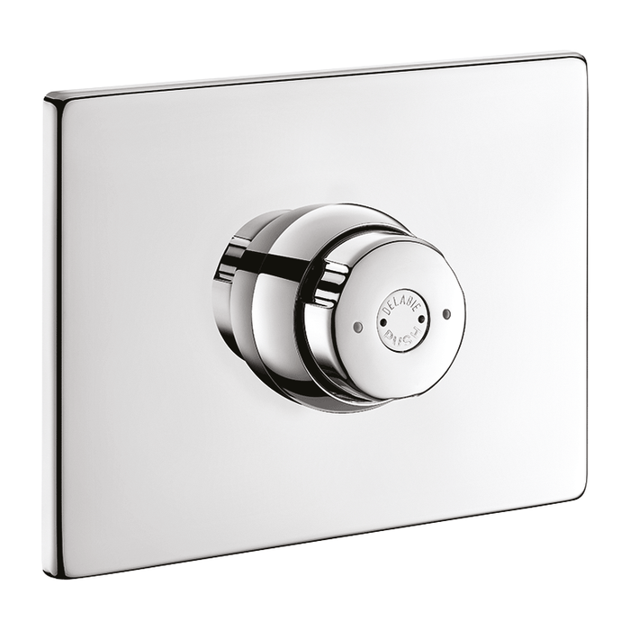 DELABIE TEMPOSTOP concealed time flow shower valve, 30 sec flow, with stopcock, 160 x 220mm stainless steel plate and chrome Bayblend® push-button