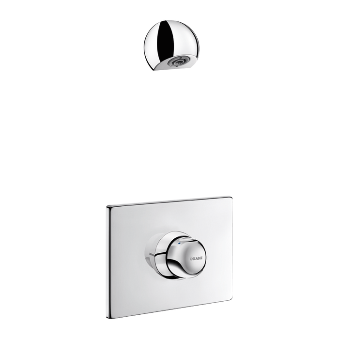 DELABIE shower set with concealed time flow TEMPOMIX mixer, with M1/2