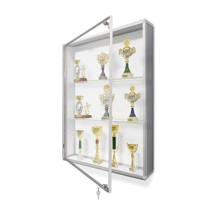 Vitrine à trophées GPB 100 x 120 x 25 cm