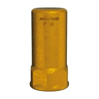 Foto av Trykkslagdemper DELABIE ADLACTION F1″1/4