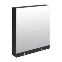 Photo of DELABIE 3-in-1 mirror cabinet, with electronic soap dispenser and paper towel dispenser, width 800mm