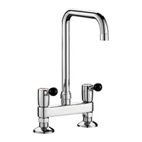 Foto av Stående to-hulls batteri DELABIE, 60 L/min, svingbar tut i høyde 220 mm og lengde 300 mm