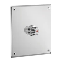 Photo of DELABIE TEMPOSTOP concealed time flow shower valve, 30 sec flow, with 160 x 160mm stainless steel plate and chrome-plated brass push-button