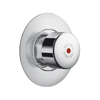 Photo of DELABIE TEMPOSTOP time flow shower valve, M3/4", panel-mounted, 30 sec flow time, with rose