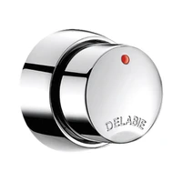 Photo of DELABIE TEMPOSOFT 2 time flow shower valve, M1/2", panel-mounted, 30 sec flow time