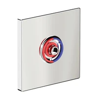 Photo of Ovládací deska pro časovou sprchovou armaturu DELABIE TEMPOMIX 3, 160 × 160 mm, chromovaný kov