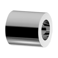 Foto van Verchroomd verlengstuk DELABIE voor wand tijdsgestuurd ventiel, Ø48, lengte 50 mm