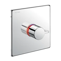 Foto de Misturadora de duche termostática sequencial de encastrar DELABIE SECURITHERM, com placa de inox 166 × 166 mm