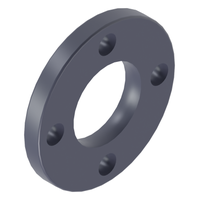 Photo of PP flange (backing ring) CEPEX PP.12.FLG 63 mm