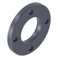 Photo of PP flange (backing ring) CEPEX PP.12.FLG 75 mm