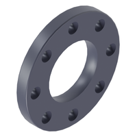 Photo of PP flange (backing ring) CEPEX PP.12.FLG 90 mm