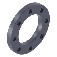 Photo of PP flange (backing ring) CEPEX PP.12.FLG 110 mm