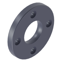 Photo of Flange (backing ring) PP CEPEX PP.12.FLG 50 mm